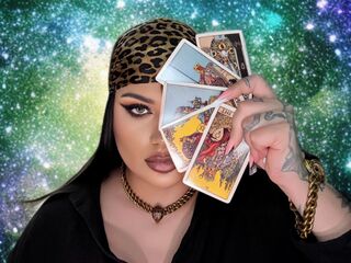 AlexaSeer reading online